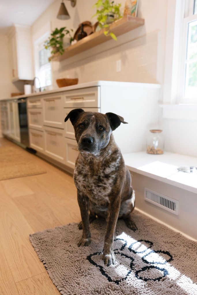 custom kitchen renovation